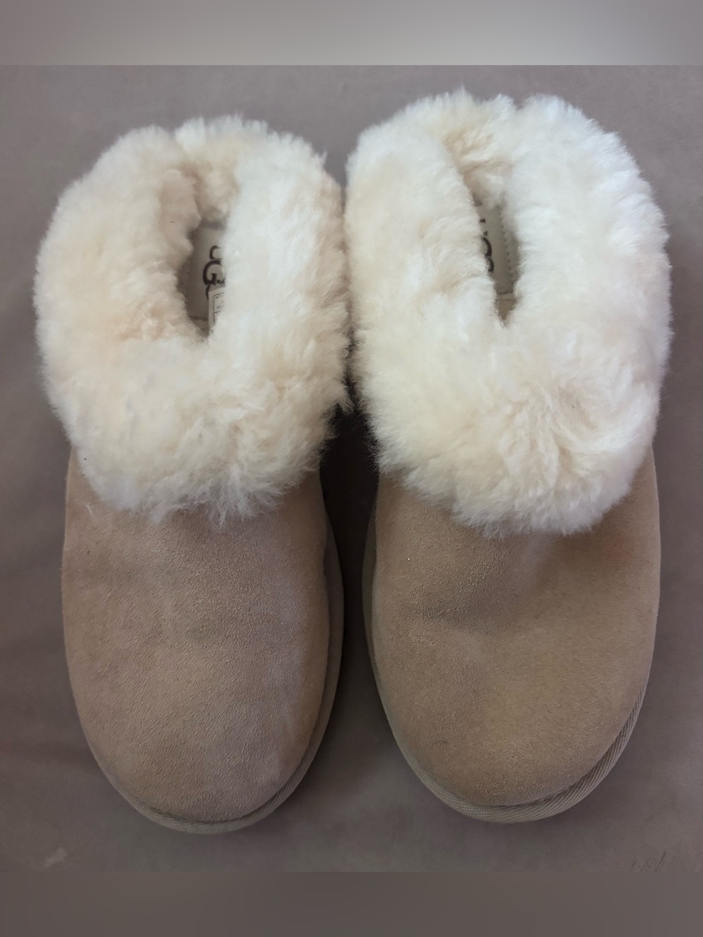 NWOT UGG Cluggette Slippers Sand Shearling Suede Women’s Size 6